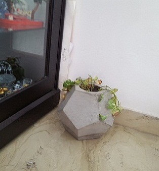 Dodecahedron Planter